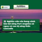 Nghiên cứu của bang cảnh báo bờ sông Port Angeles có nguy cơ cao bị sóng thần Cascadia