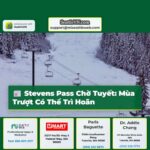 Stevens Pass Chờ Đợi Lớp Tuyết Mùa Trượt Tuyết Có Thể Bị Trì Hoãn
