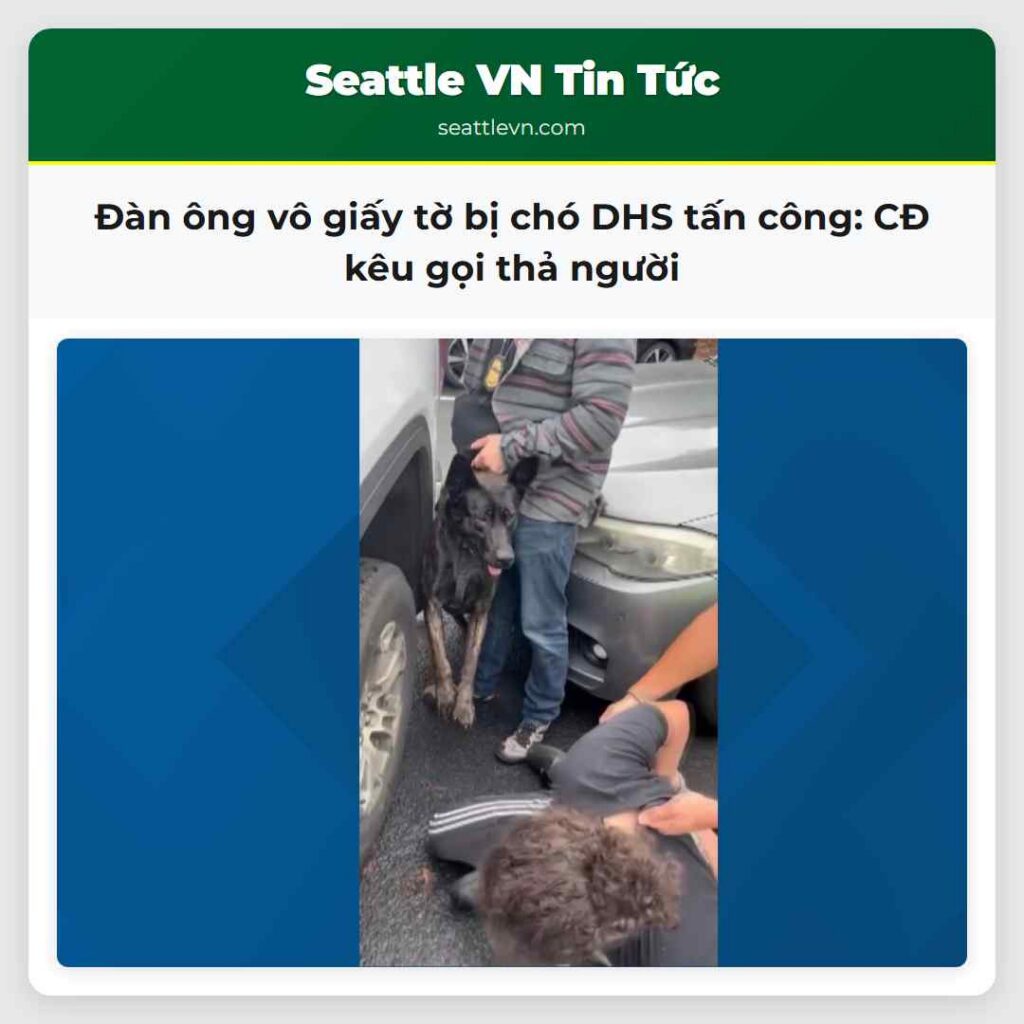 Đàn ông vô giấy tờ bị chó DHS tấn công: CĐ kêu