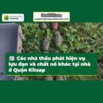 Các nhà thầu phát hiện vụ lựu đạn và chất nổ khác tại nhà ở Quận Kitsap