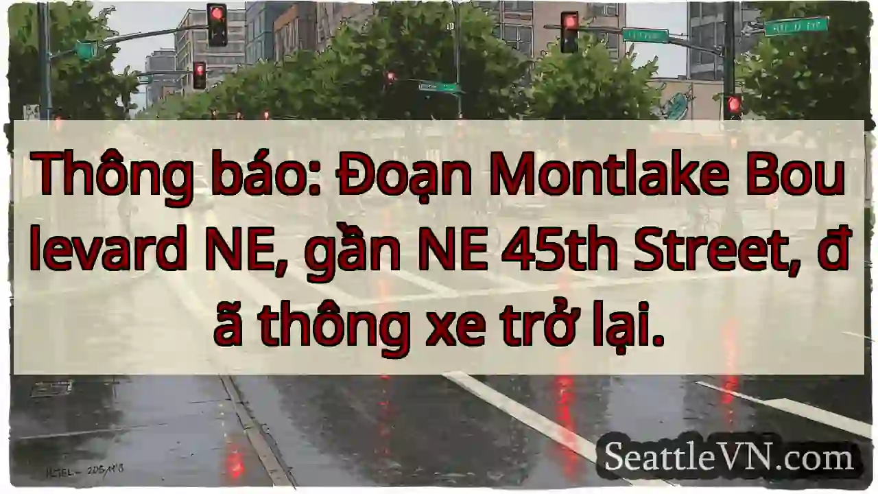 Montlake Blvd NE đã thông xe!