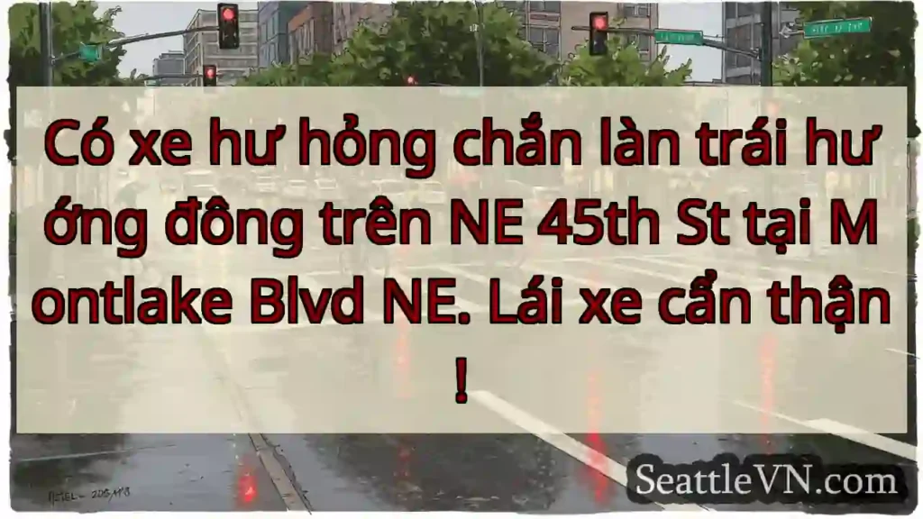 Xe hư hỏng! NE 45th St.