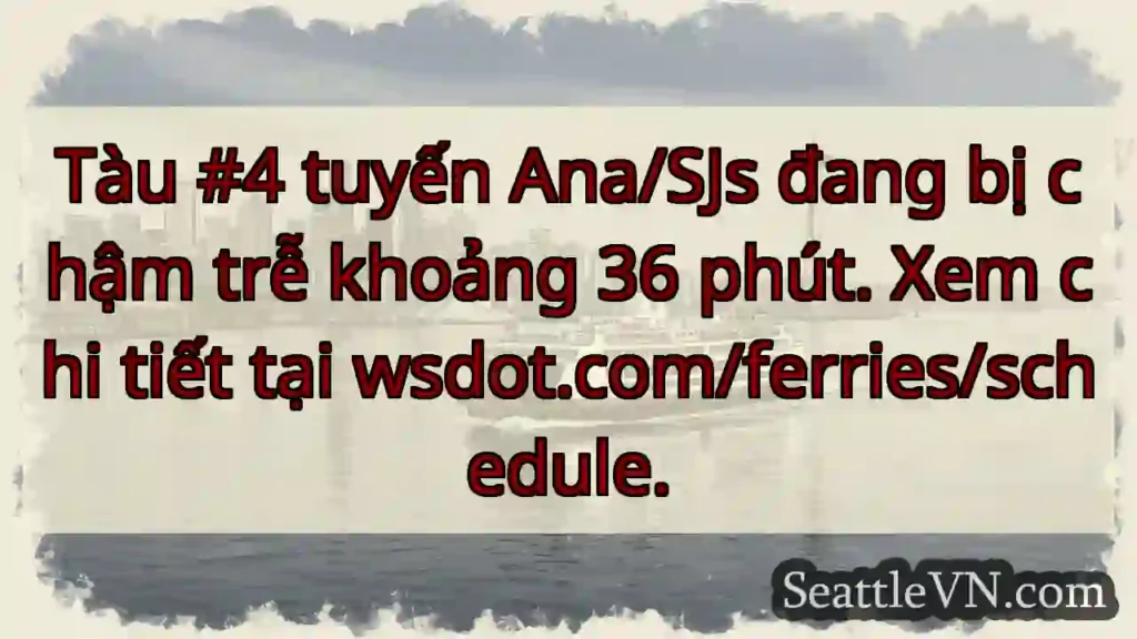 Tàu 4 chậm 36 phút! ⛴️