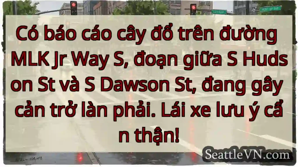 Cây đổ trên MLK Way S! Lưu ý!