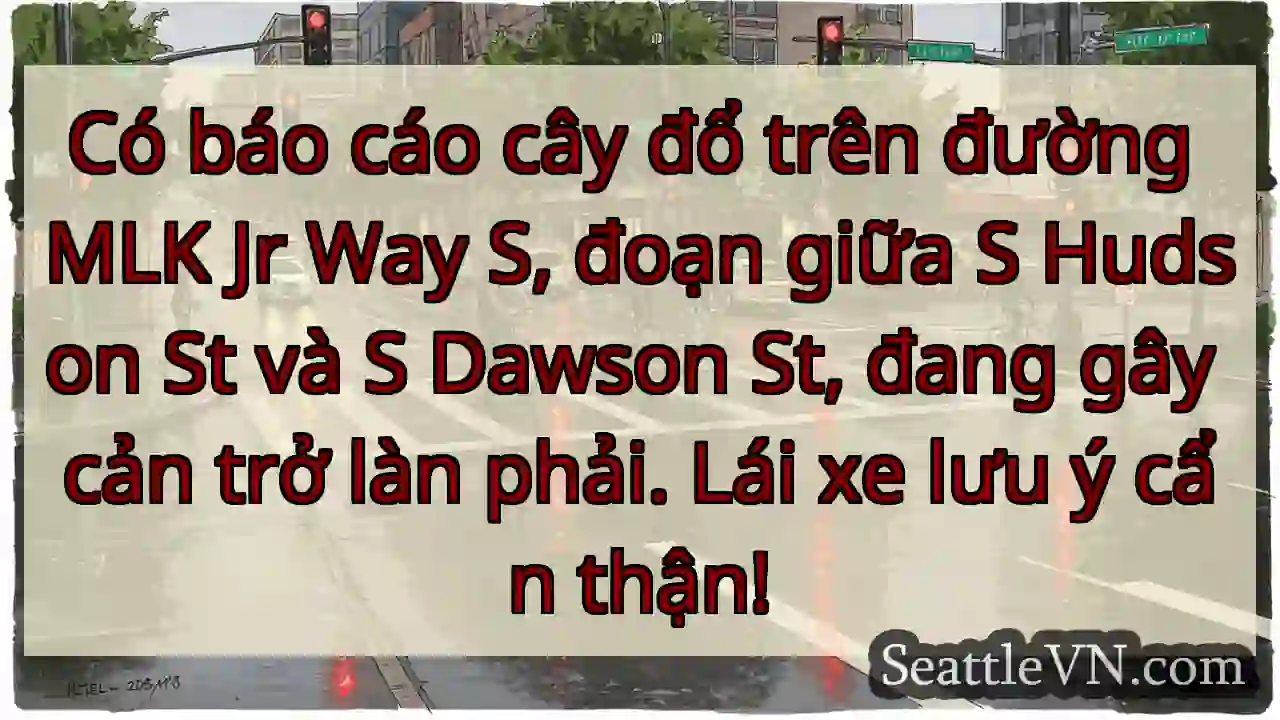 Cây đổ trên MLK Way S! Lưu ý!