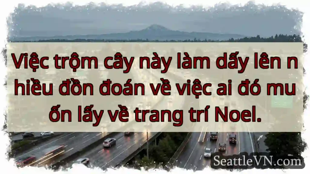 Trộm cây Noel? Ai đang lên kế hoạch?