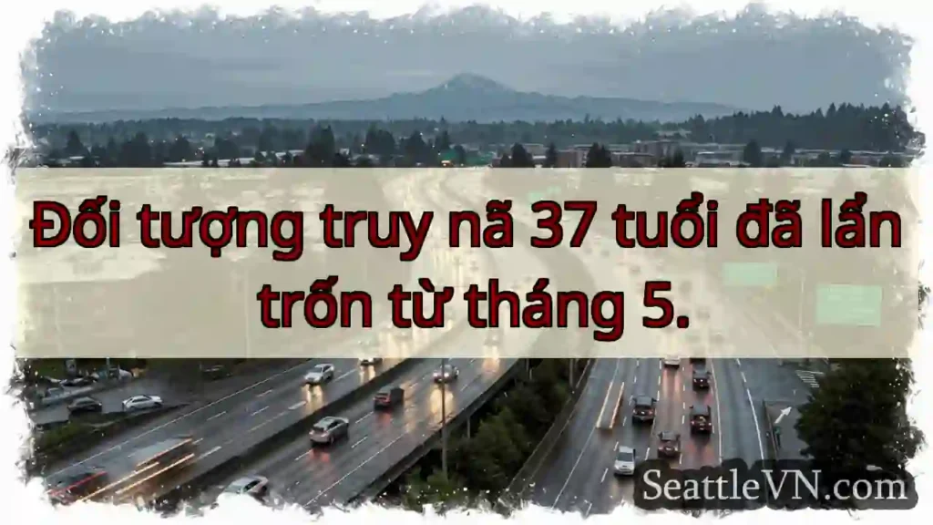 Trốn truy nã! 37 tuổi.