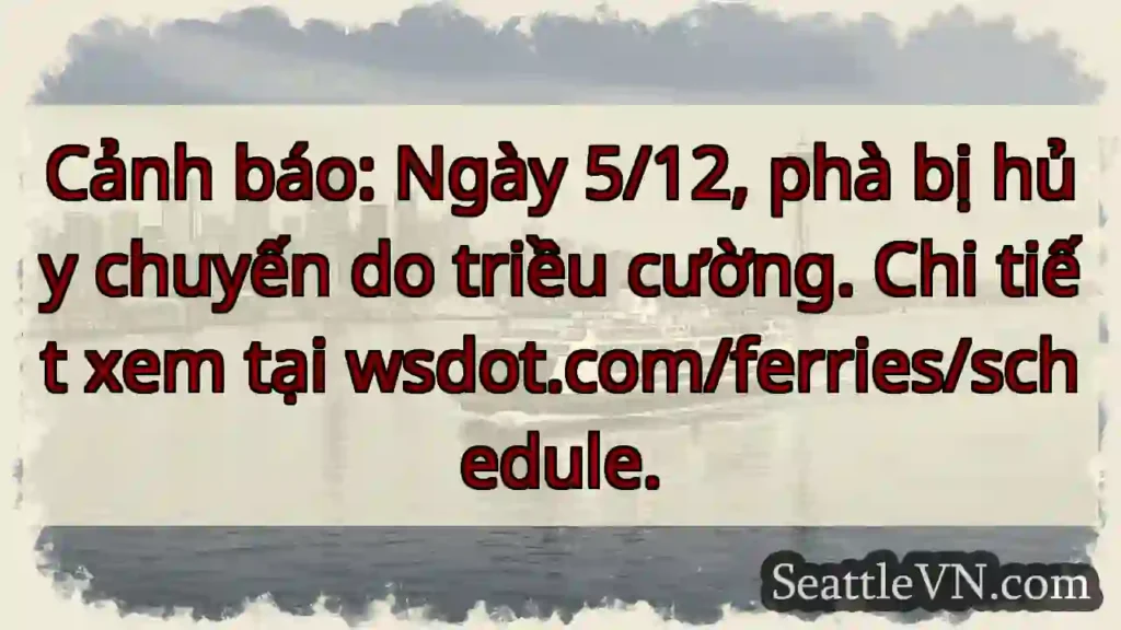 Cảnh báo phà! 5/12 hủy chuyến.
