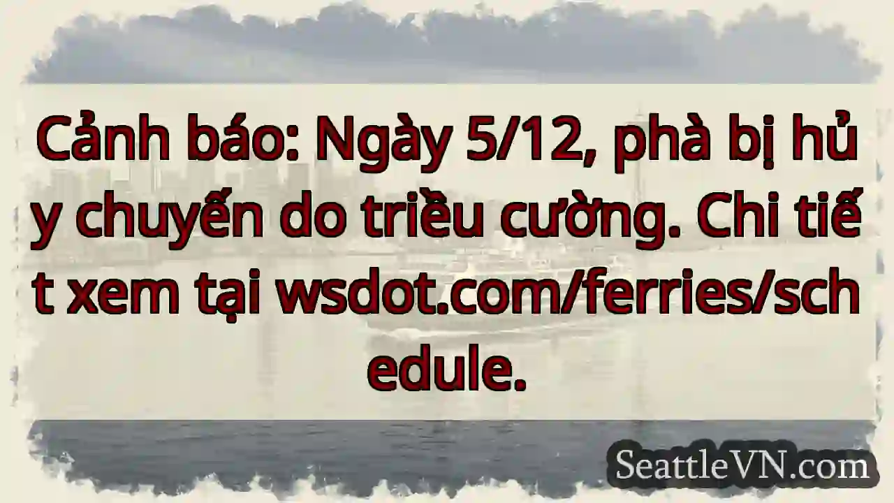 Cảnh báo phà! 5/12 hủy chuyến.