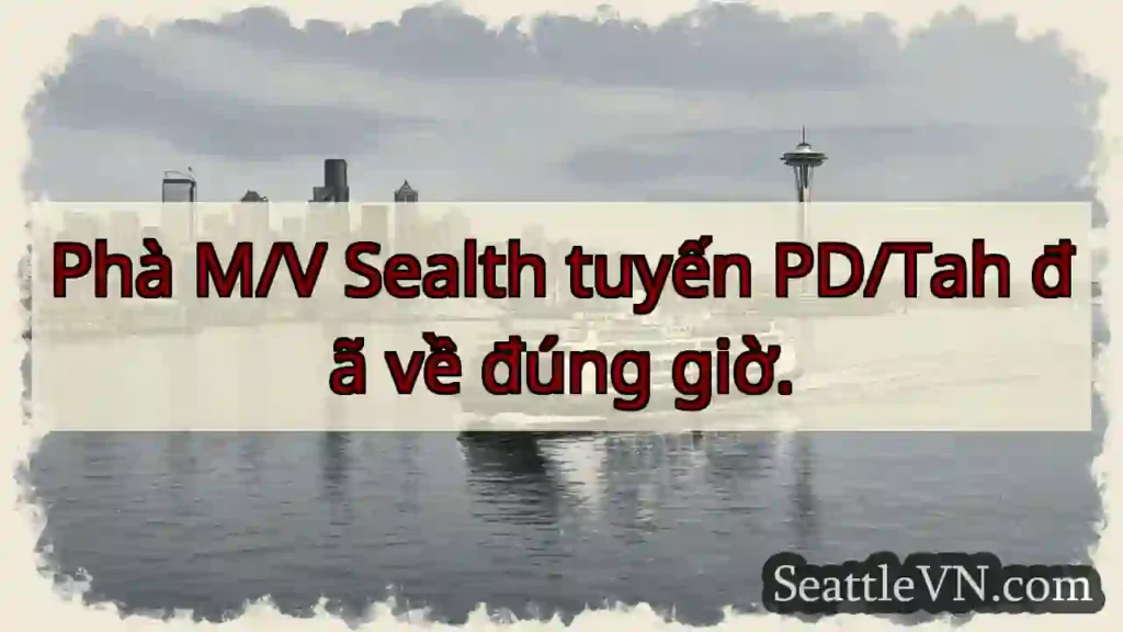 M/V Sealth về đúng giờ!