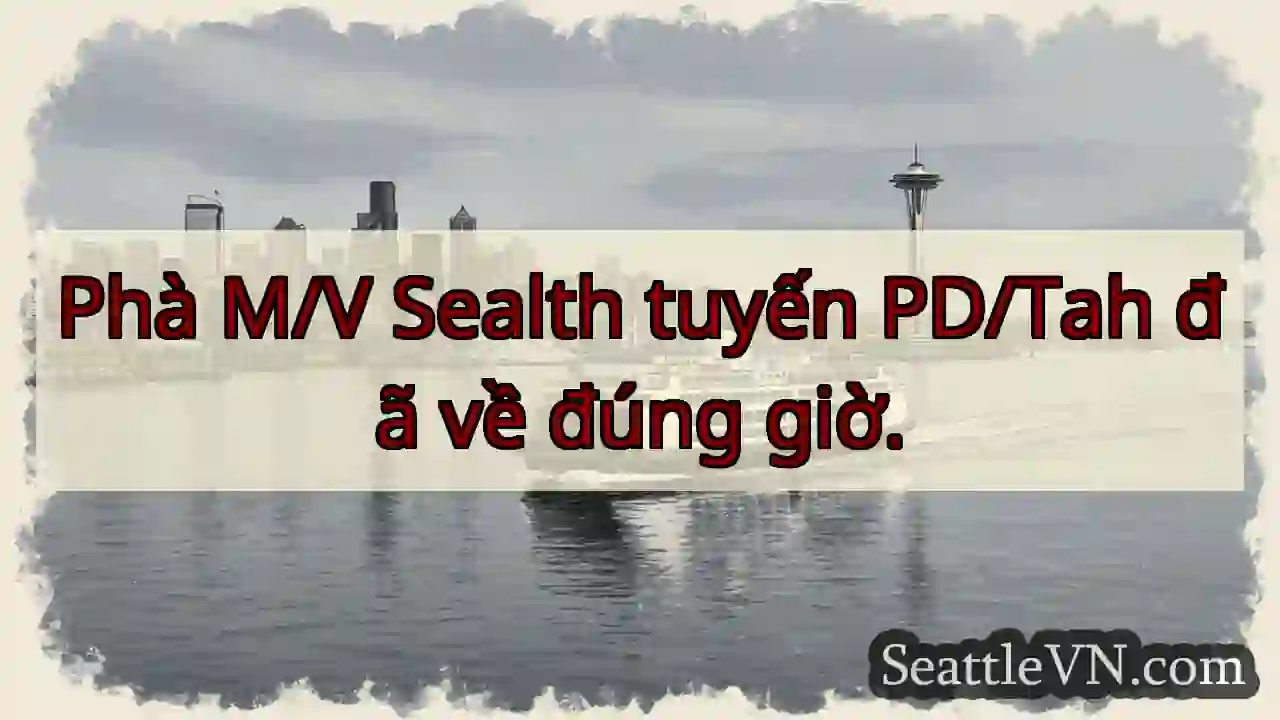 M/V Sealth về đúng giờ!