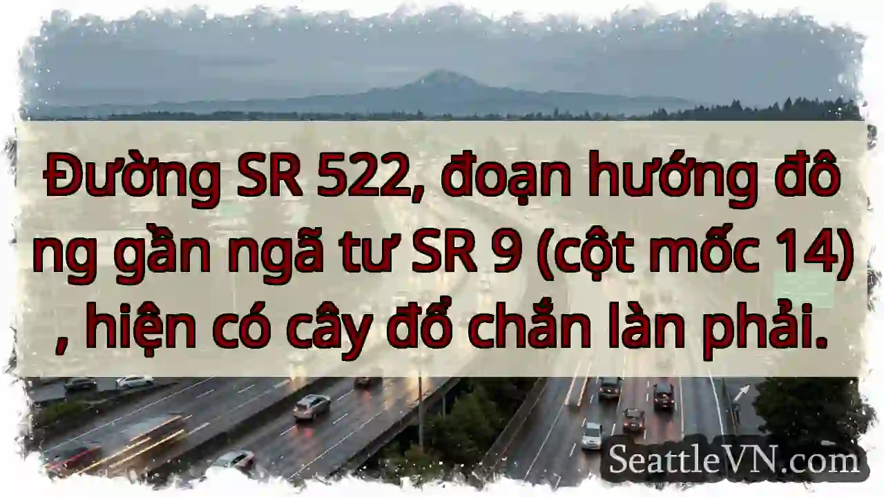 Cây đổ! SR 522 (hướng đông) gần SR 9.