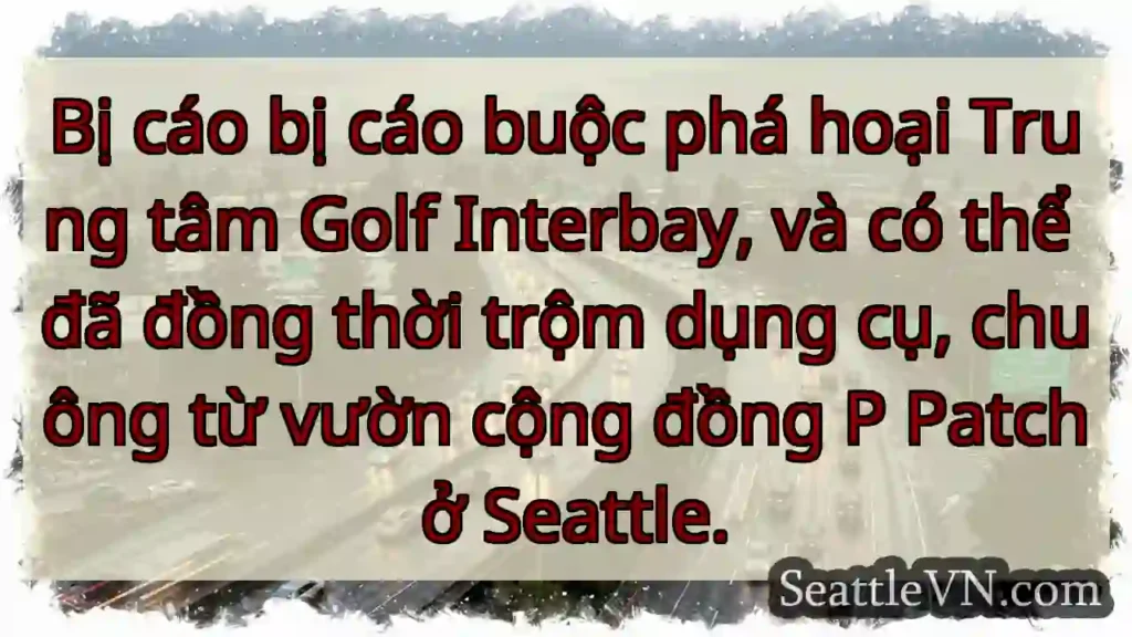 Phá hoại sân golf? Trộm đồ P Patch?