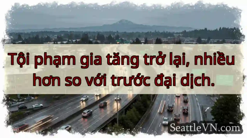 Tội phạm: Cao hơn xưa!