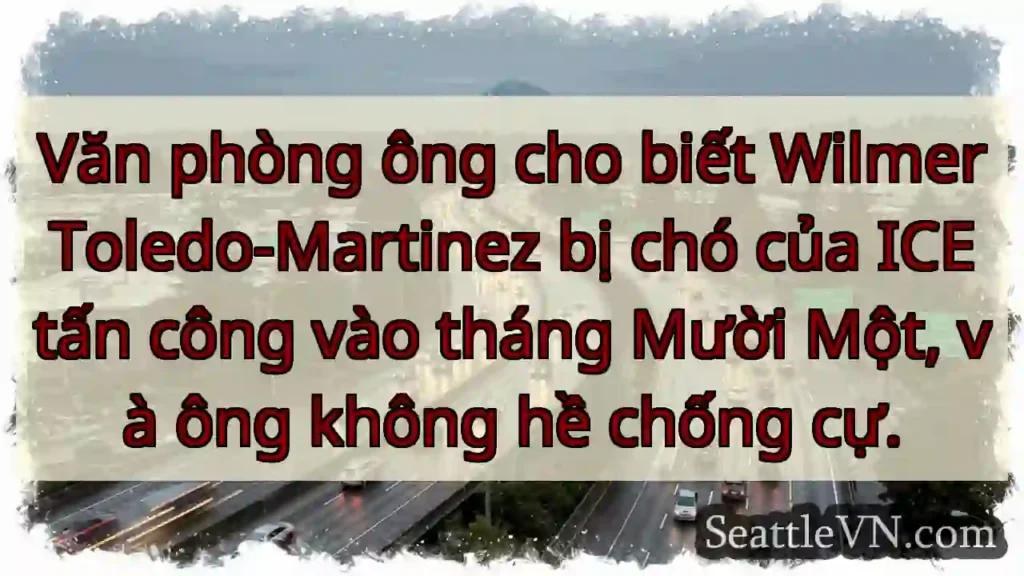 Wilmer bị chó ICE tấn công.