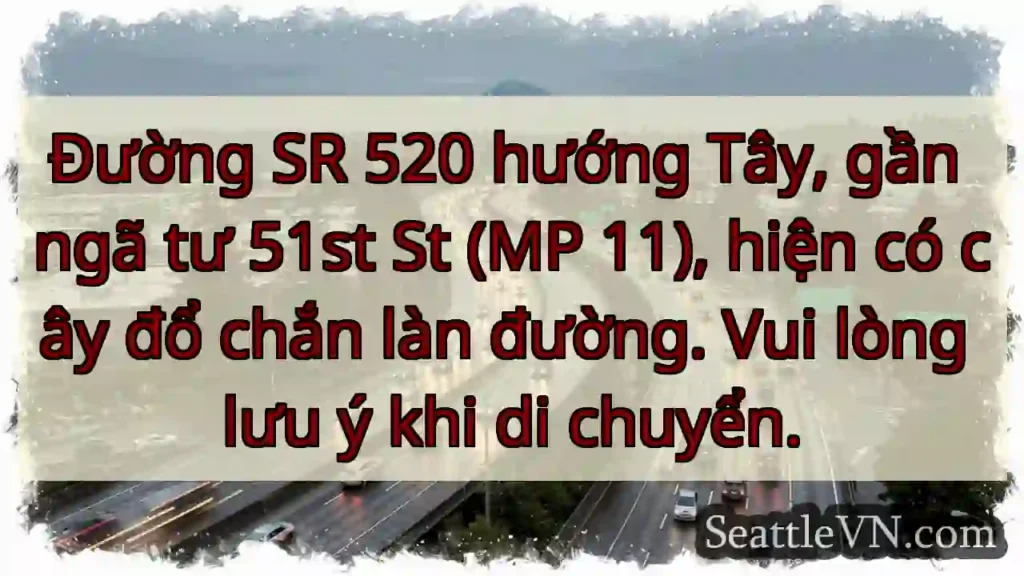 Cây đổ! SR 520 W, gần 51st St