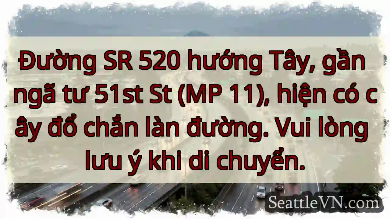 Cây đổ! SR 520 W, gần 51st St