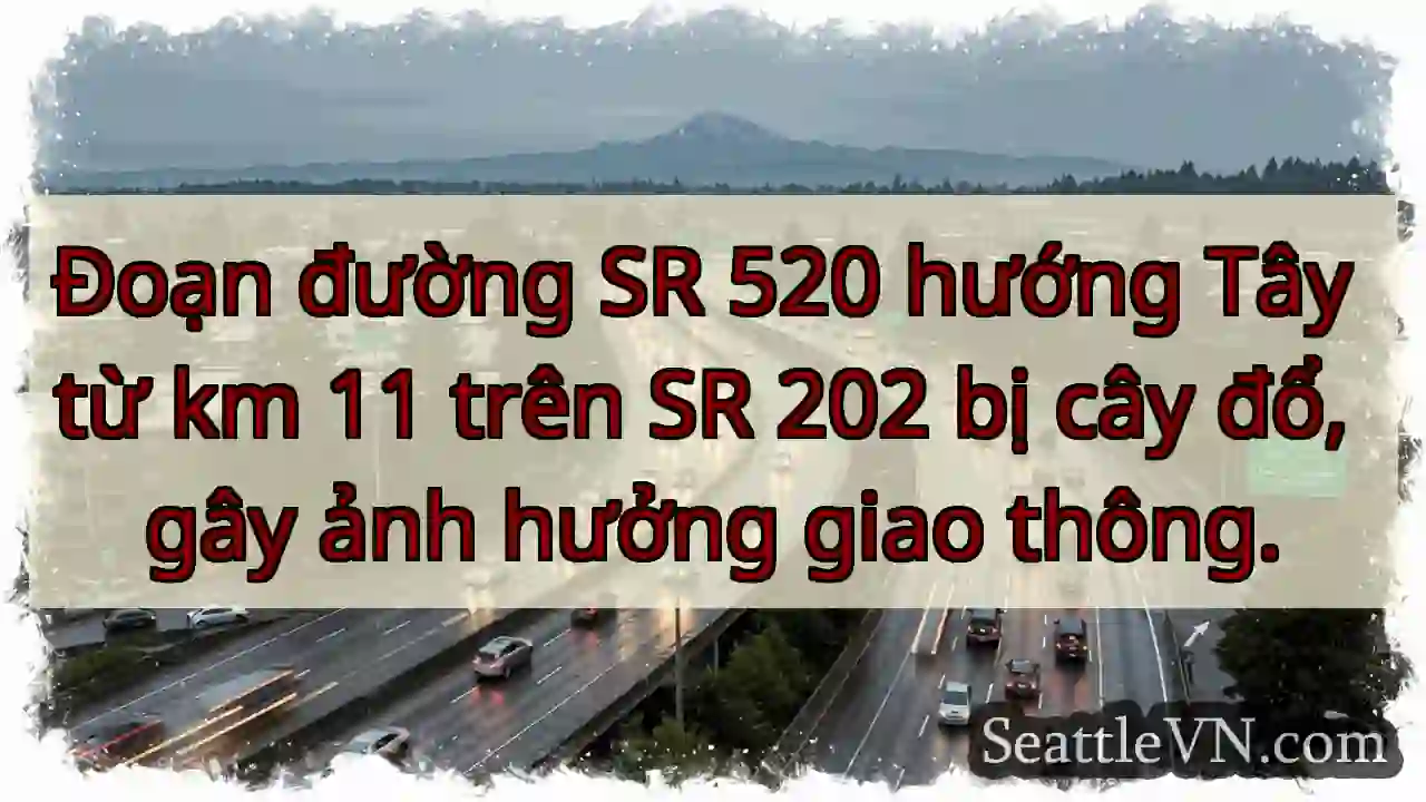 SR 520 Tây: Cây đổ! Lưu ý giao thông.
