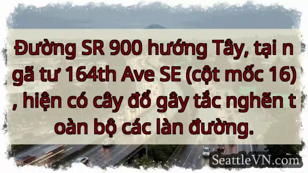 SR 900 Tây: Cây đổ, tắc đường!