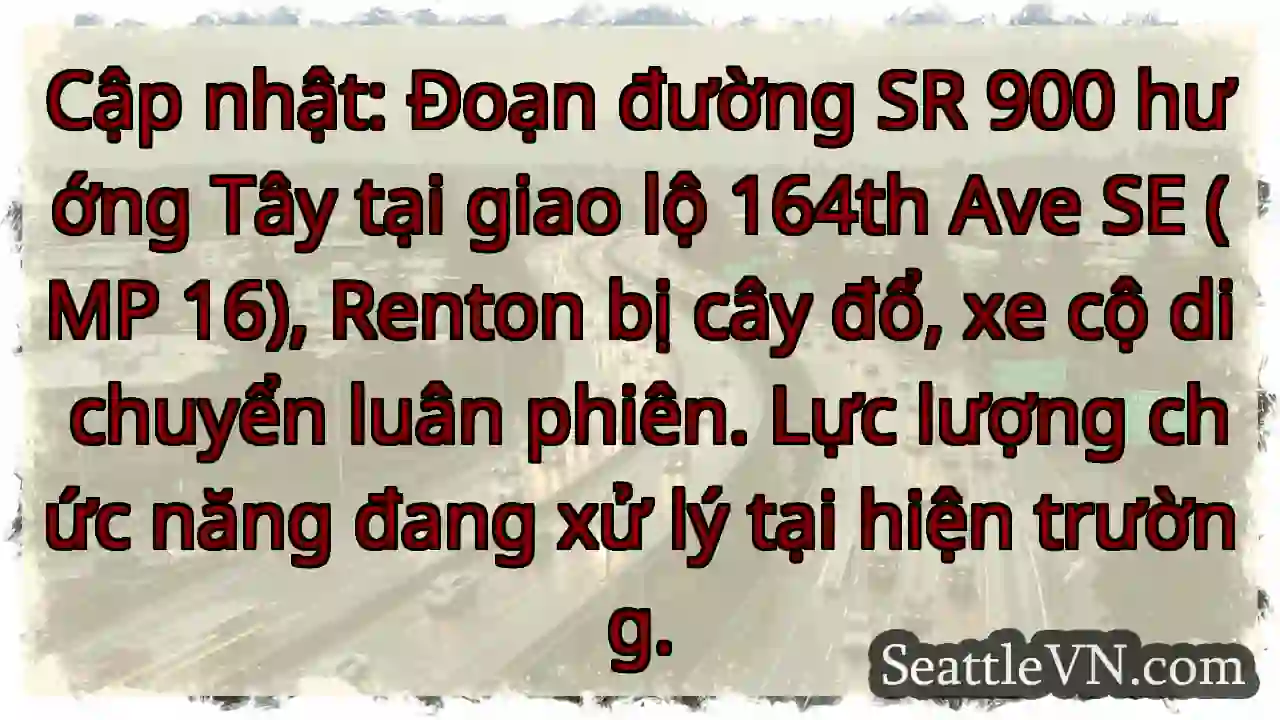 SR 900 tắc: Cây đổ, xe luân phiên!