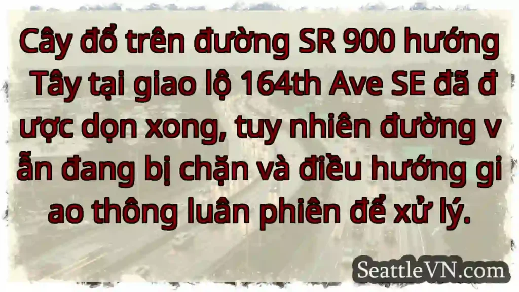 SR 900 tắc! Đang điều hướng luân phiên.