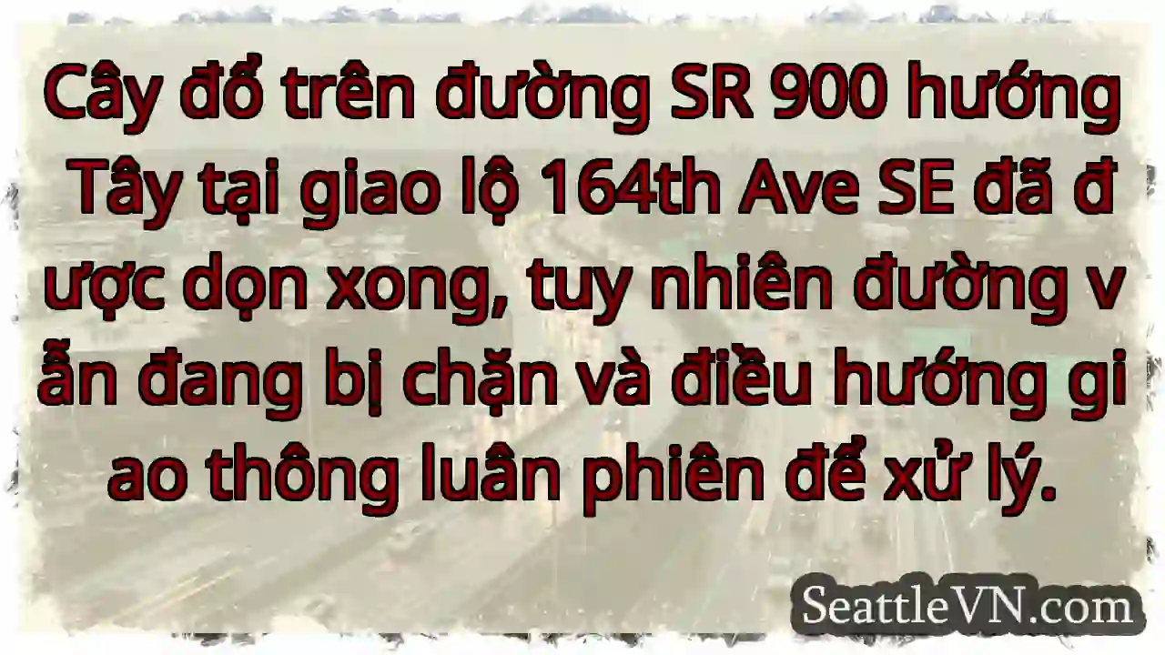 SR 900 tắc! Đang điều hướng luân phiên.