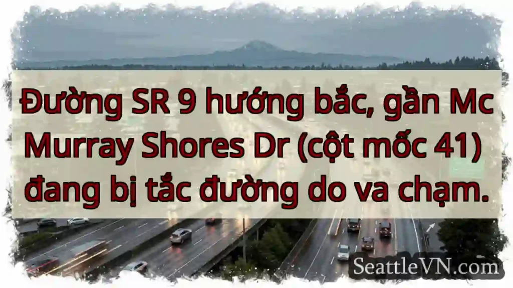 SR 9 Bắc: Va chạm, tắc đường!
