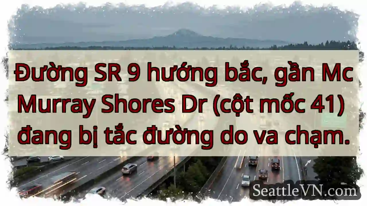 SR 9 Bắc: Va chạm, tắc đường!