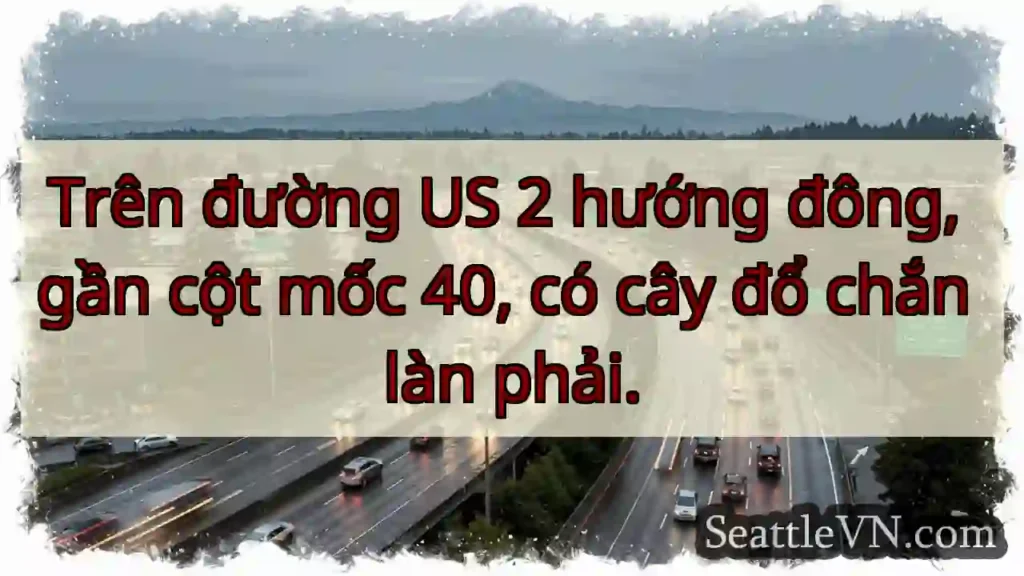 Cây đổ! US 2 hướng đông, cột 40.