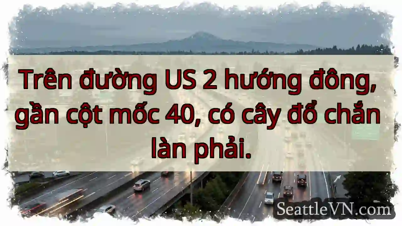 Cây đổ! US 2 hướng đông, cột 40.