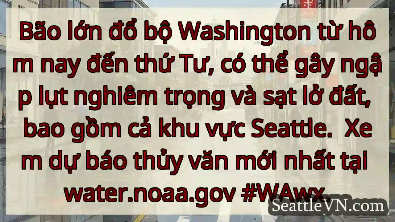 Bão lớn! Ngập lụt, sạt lở đất. Kiểm tra ngay!