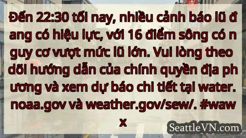 Cảnh báo lũ: 16 điểm nguy cơ!