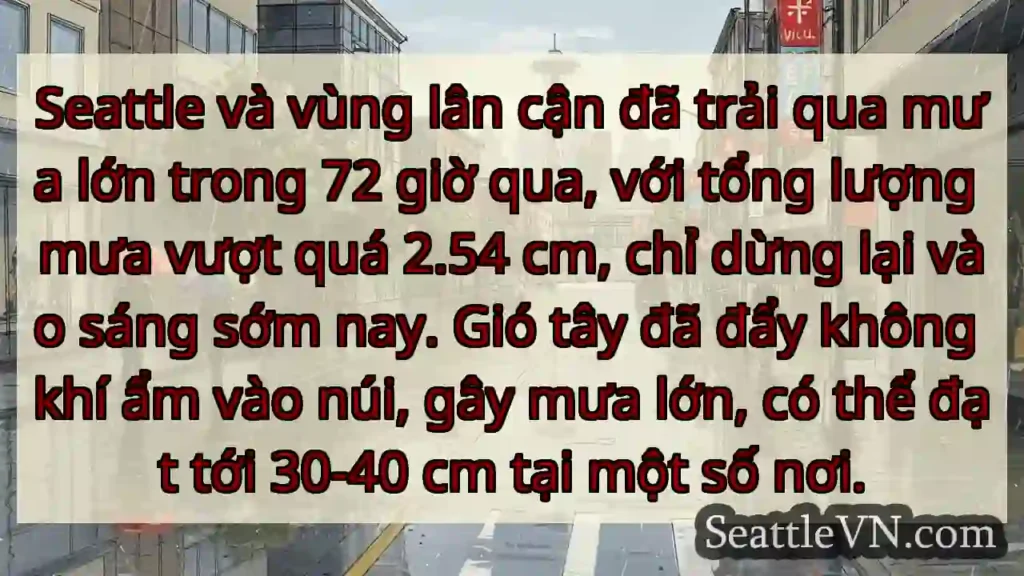 Mưa lớn 72h! Seattle 🌧️