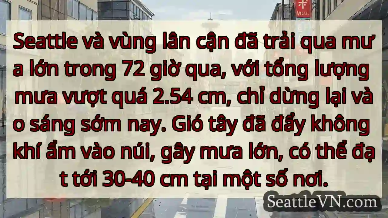 Mưa lớn 72h! Seattle 🌧️