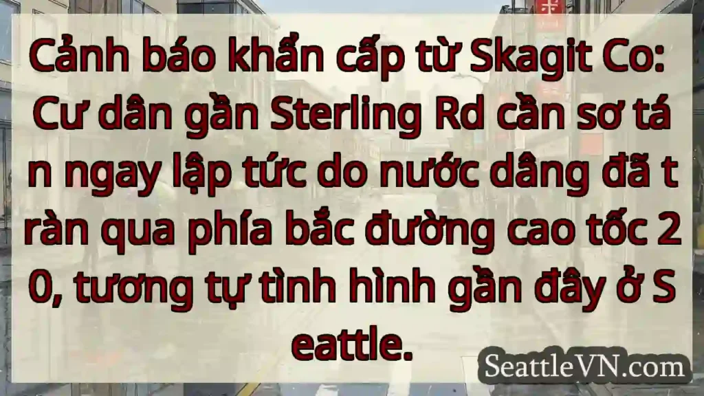 Cảnh báo: Sơ tán ngay! Nước dâng tràn đường.