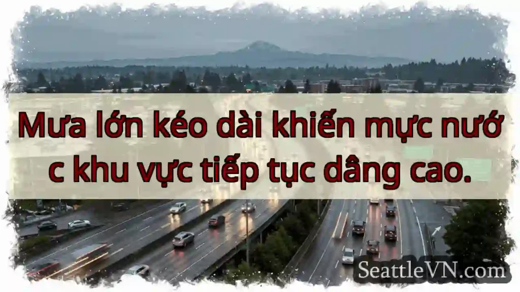 Mực nước dâng cao! 🌧️