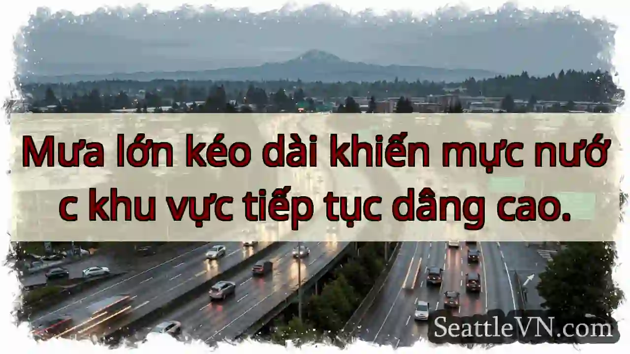 Mực nước dâng cao! 🌧️