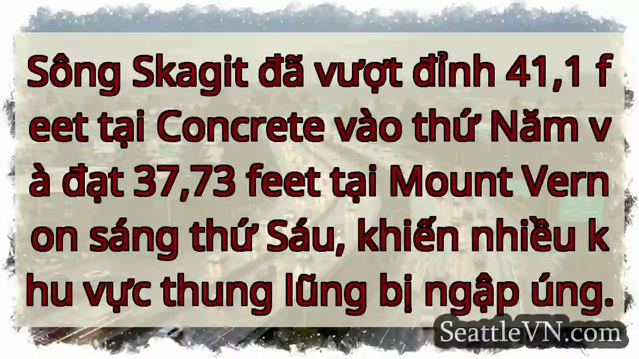 Skagit: Mực nước dâng cao, ngập úng!