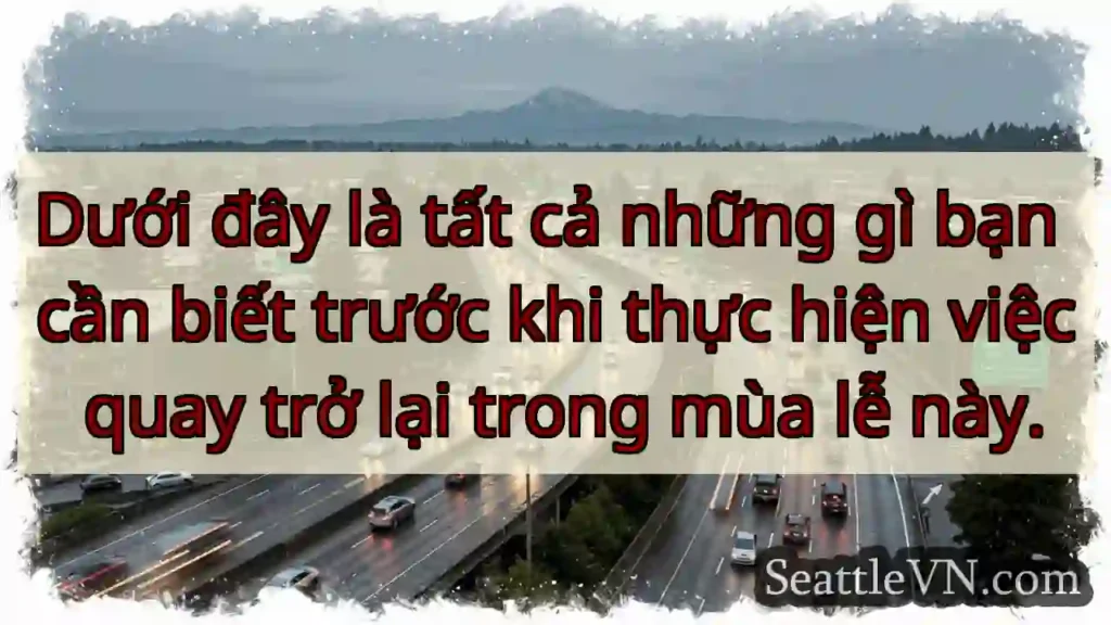 Dưới đây là tất cả những gì bạn cần biết trước