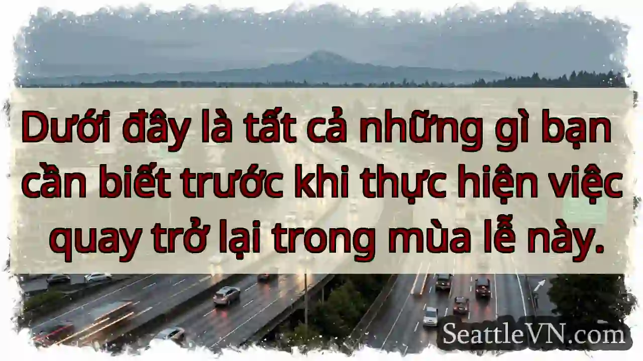 Dưới đây là tất cả những gì bạn cần biết trước