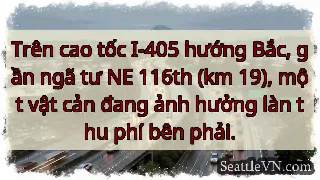 Chướng ngại vật - Làn thu phí phải