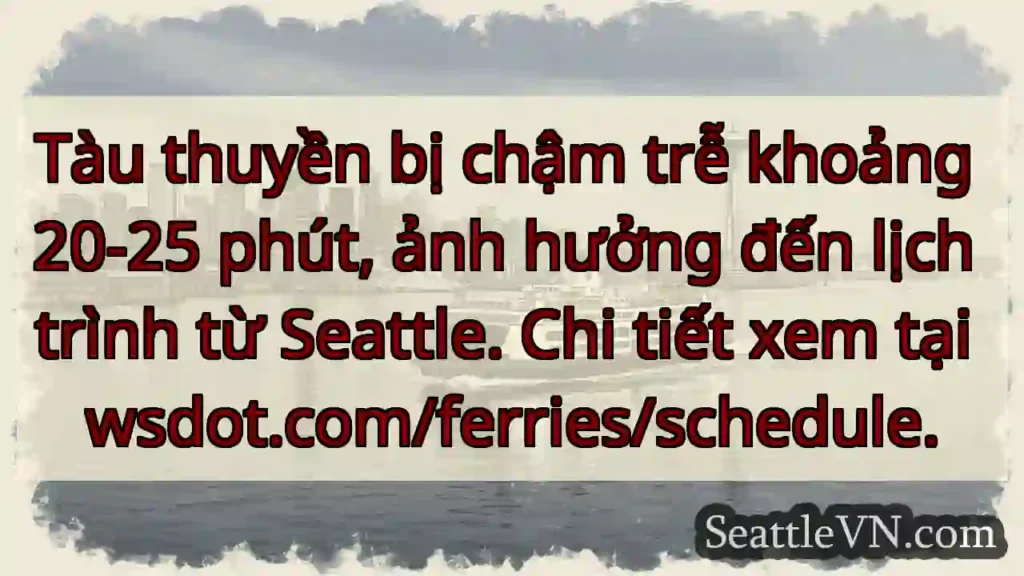 Tàu chậm 20-25 phút! ⛴️