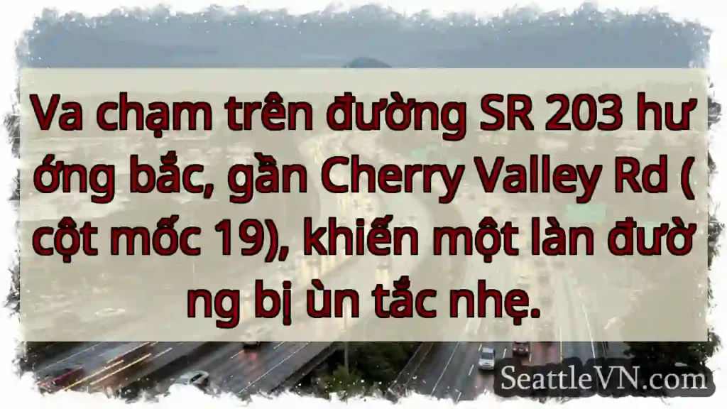 Ùn tắc nhẹ SR 203!