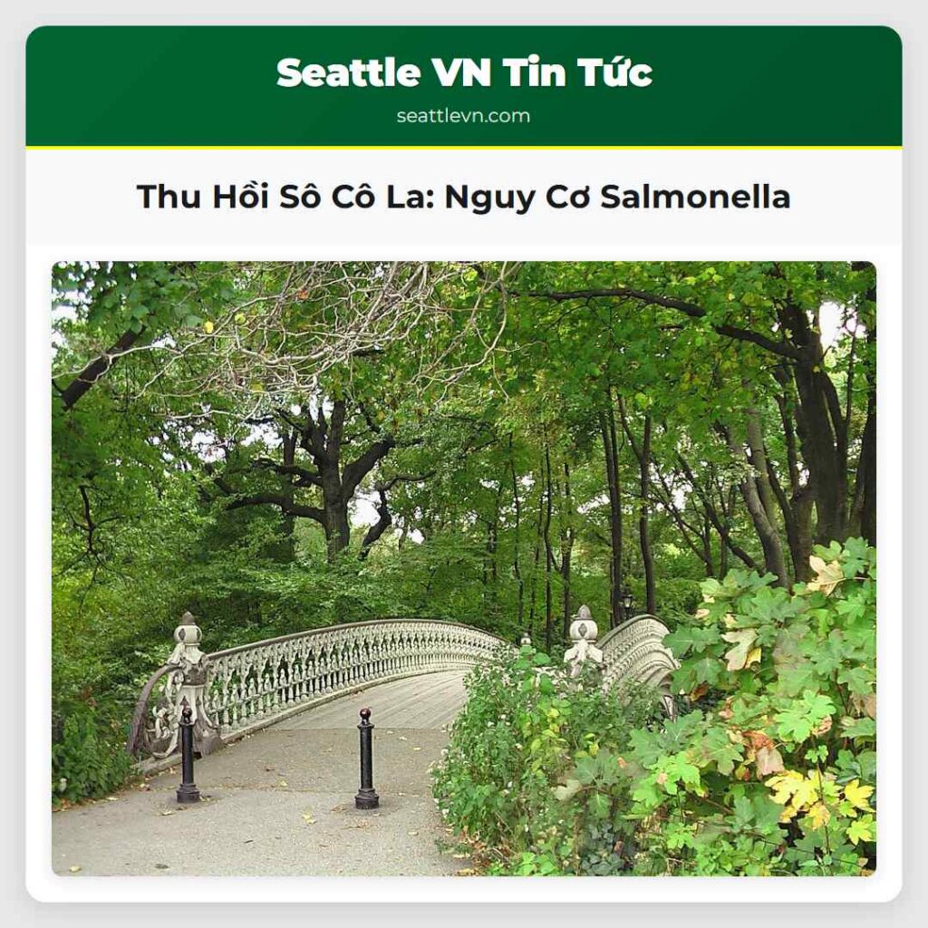 Thu Hồi Sô Cô La: Nguy Cơ Salmonella