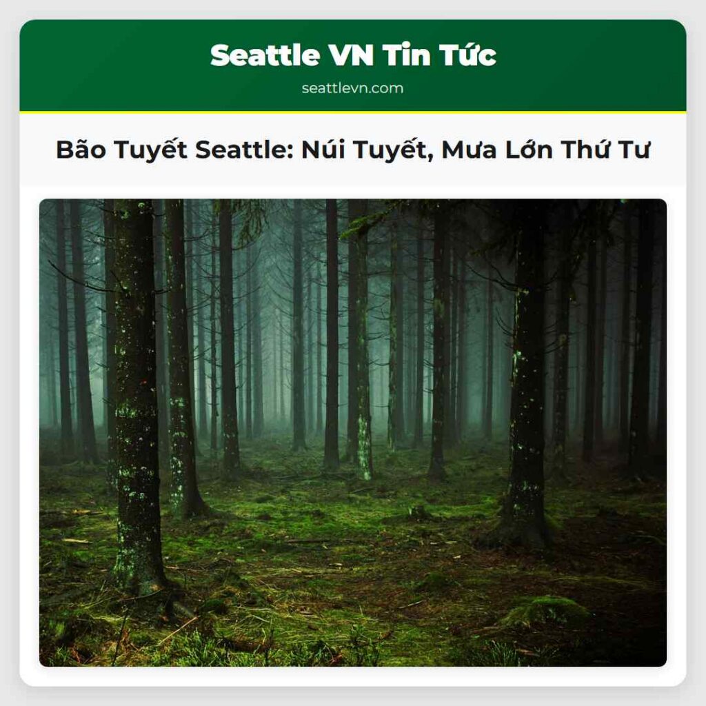 Bão Tuyết Seattle: Núi Tuyết, Mưa Lớn Thứ Tư