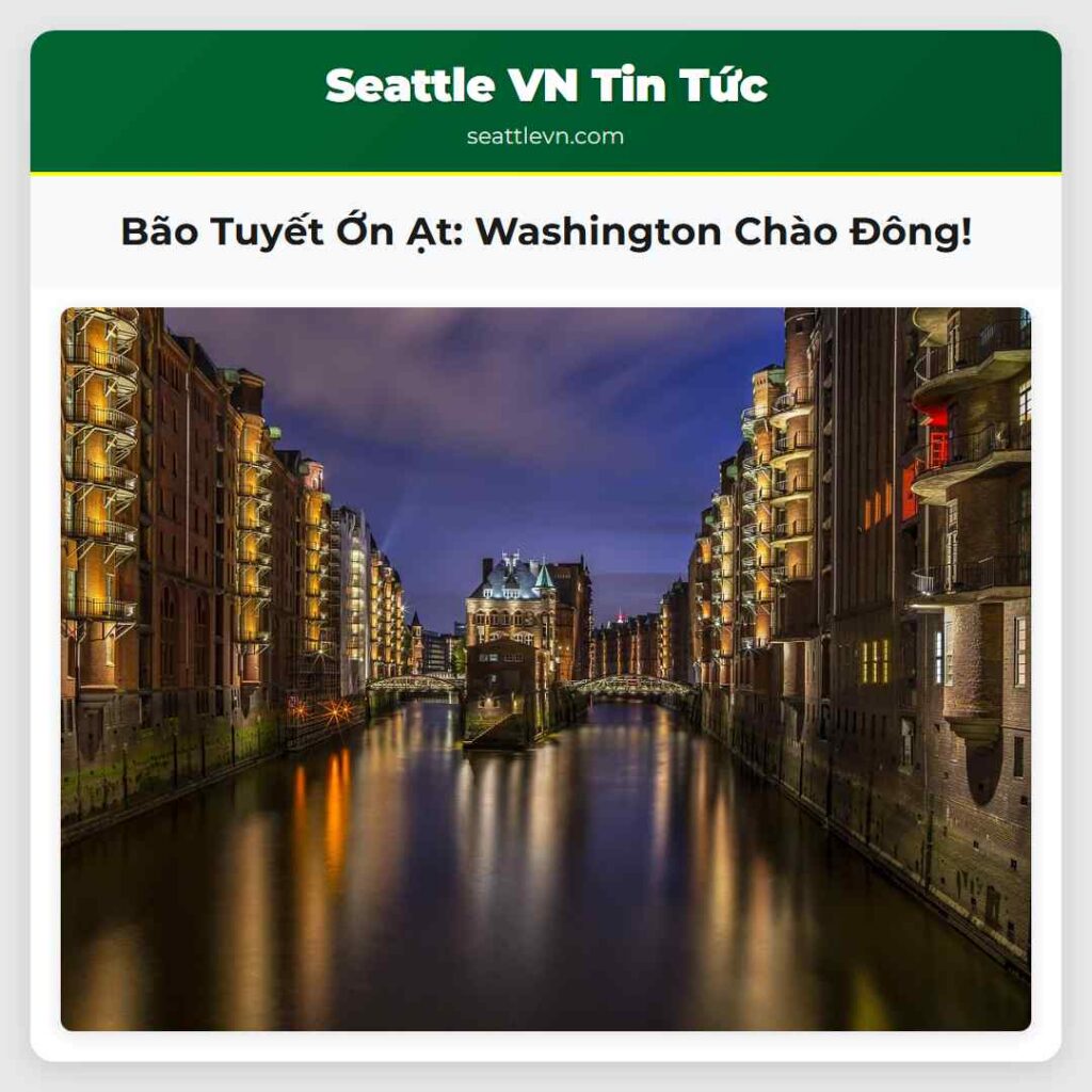 Bão Tuyết Ớn Ạt: Washington Chào Đông!