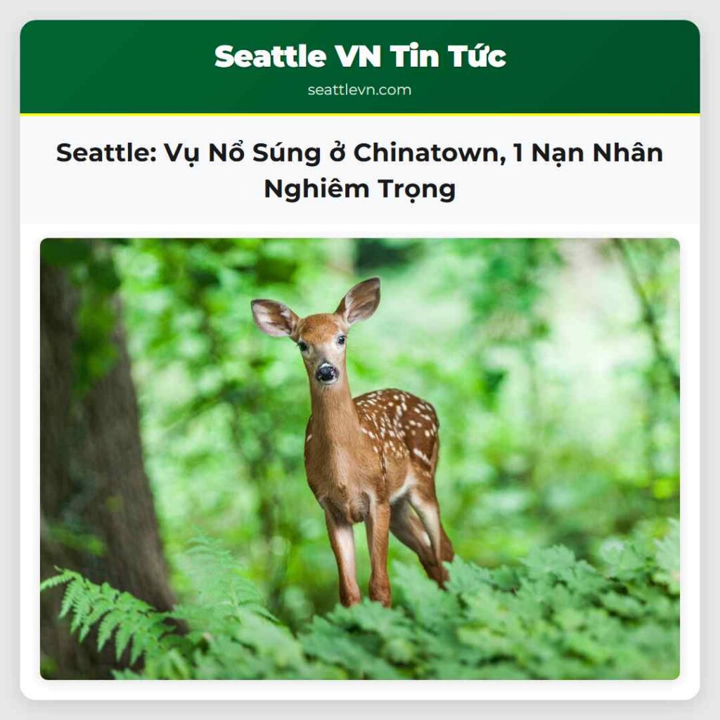 Seattle: Vụ Nổ Súng ở Chinatown, 1 Nạn Nhân