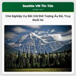 Chó nghiệp vụ Thurston County hỗ trợ bắt giữ nhóm đối tượng liên quan vụ ẩu đả truy đuổi xe hơi