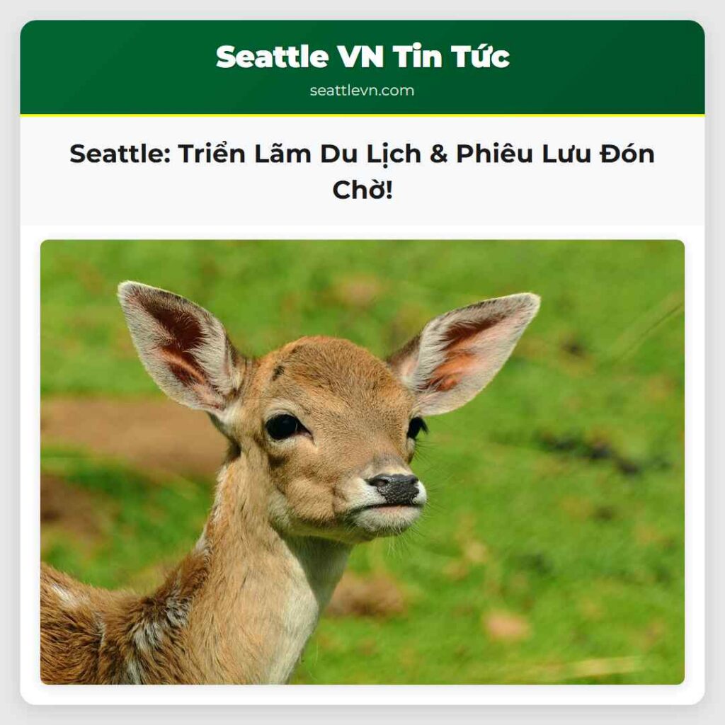 Seattle: Triển Lãm Du Lịch & Phiêu Lưu Đón Chờ!