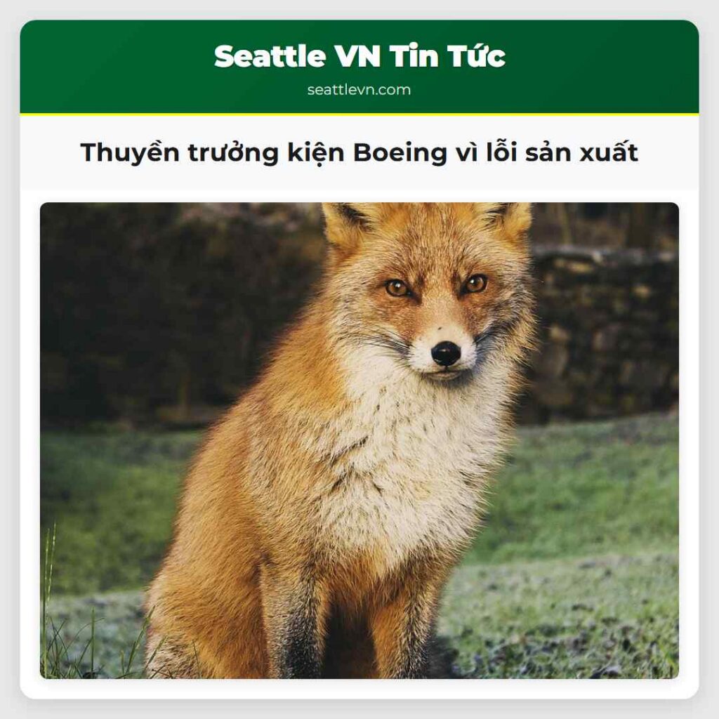 Thuyền trưởng kiện Boeing vì lỗi sản xuất